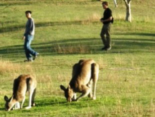 Haden QLD Accommodation NSW