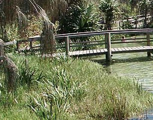 Australia Fraser Island Escape - Accommodation NSW 1
