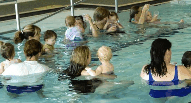 Aqualife Centre - Accommodation NSW 1