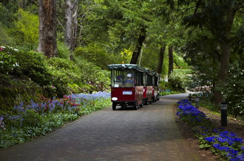 Araluen Botanic Park - Accommodation NSW 0