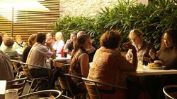 Camperdown NSW Accommodation NSW