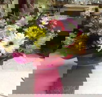 Bahia Restaurant - Accommodation NSW