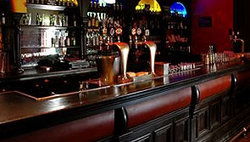 Brass Monkey Hotel - Accommodation NSW 0