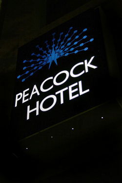 Peacock Inn Hotel - Accommodation NSW 0