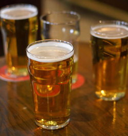 Yennora Oasis Hotel - Accommodation NSW 1