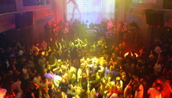 Blush Night Club - Accommodation NSW 2