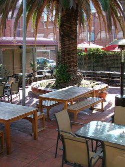 Peacock Inn Hotel - Accommodation NSW 2