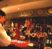 Criterion Hotel - Oak  Ivy Cellar Bar - Accommodation NSW