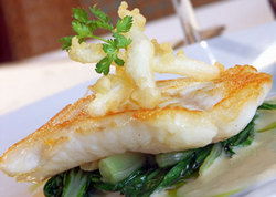 The Tower Hotel - Accommodation NSW 1