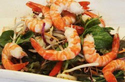 Nicholsons Bar & Grill - Accommodation NSW 1