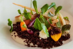 Royal Mail Hotel - Accommodation NSW 2