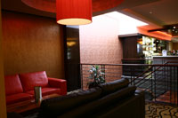 Camperdown Hotel - Accommodation NSW 2