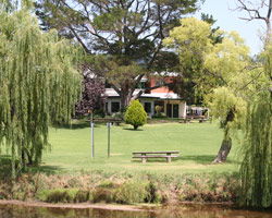 Bendemeer Hotel - Accommodation NSW 3