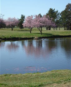 RMC Golf Club - Accommodation NSW 0