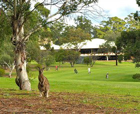 Pambula Merimbula Golf Club - Accommodation NSW 0