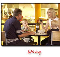 Steelers Club - Accommodation NSW