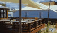 Seagrass Brasserie - Accommodation NSW