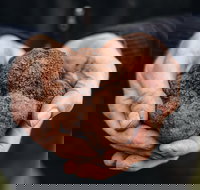 A Taste of Truffles - Accommodation NSW