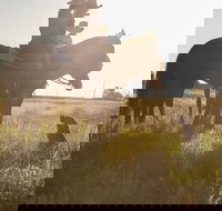 Balonne Cutting Horse Futurity - Accommodation NSW