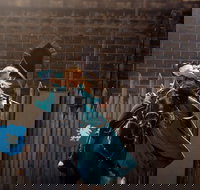 Baroque Horse Festival - Accommodation NSW