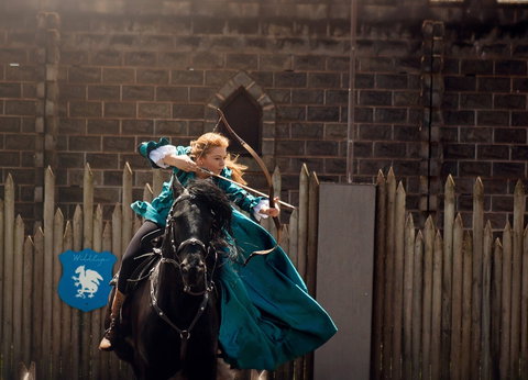 Baroque Horse Festival - Accommodation NSW 0