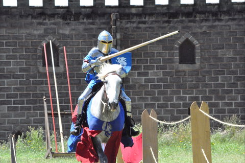 Baroque Horse Festival - Accommodation NSW 1