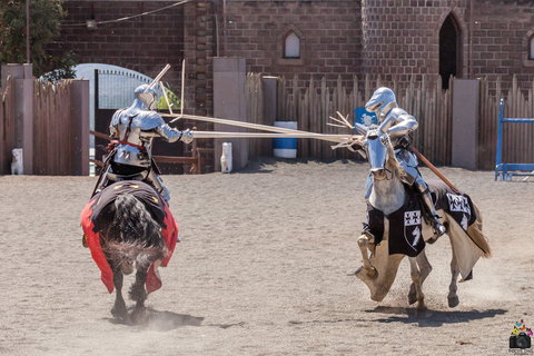 Baroque Horse Festival - Accommodation NSW 2