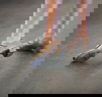 Beginner Tap - Accommodation NSW