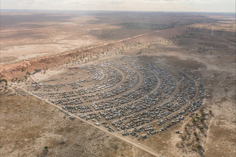 Birdsville Big Red Bash - Accommodation NSW 1