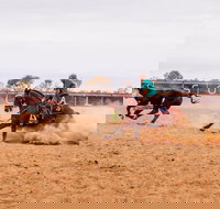 Birdsville Campdraft  Rodeo and Bronco Branding - Accommodation NSW