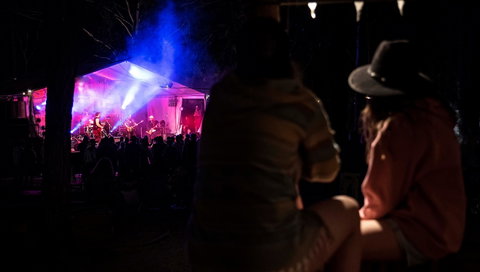 Dashville Skyline - Accommodation NSW 0