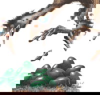 Edward the Emu - Accommodation NSW