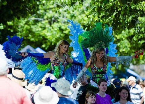 Family Fun Carnivale - Accommodation NSW 0