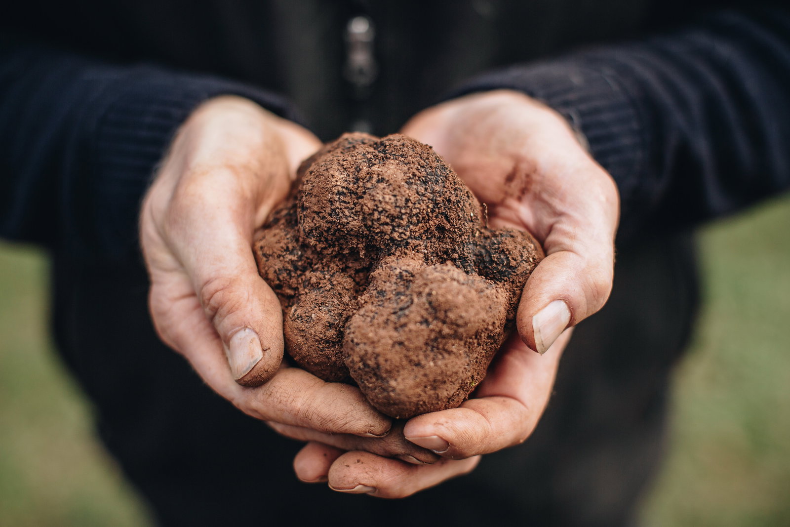 Wattle Flat VIC Accommodation NSW