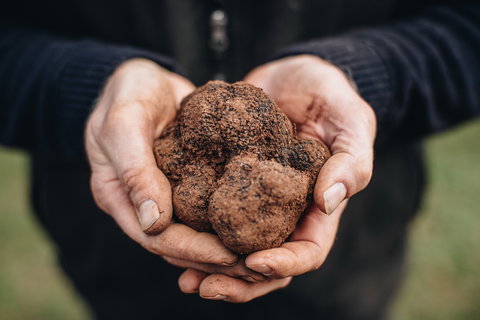 Feast And Forage - Craig's Royal Hotel - Accommodation NSW 0