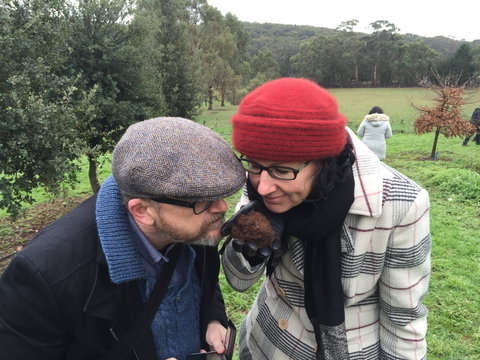 Feast And Forage - Craig's Royal Hotel - Accommodation NSW 1