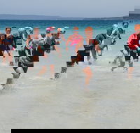 IGA Callala Triathlon Festival - Accommodation NSW