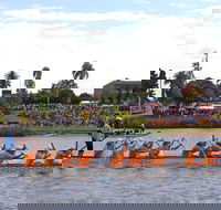 Jacaranda Dragon Boat Races - Accommodation NSW