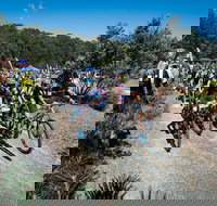 JetBlack Wild Wombat MTB Challenge - Accommodation NSW