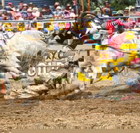 Jindabyne's Man From Snowy River Rodeo - Accommodation NSW