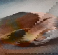 Lecture Cancelled  ADFAS  Lecture Half-Day - Patricia Law speaking on Pearls and Diamonds - Accommodation NSW