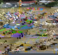 Millicent Agricultural and Horticultural Show