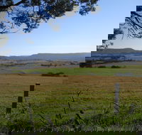 Milton Village Showground Markets - Accommodation NSW