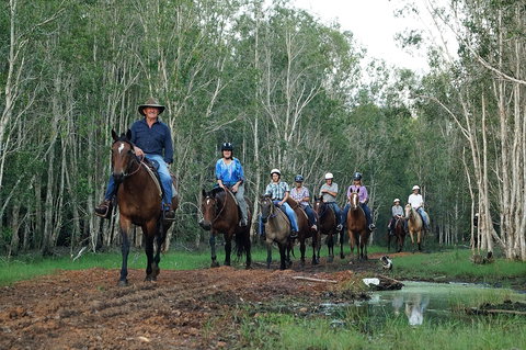Night Horse Ride And Dinner - Accommodation NSW 0
