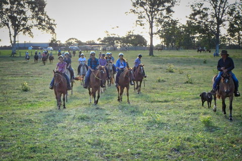 Night Horse Ride And Dinner - Accommodation NSW 1