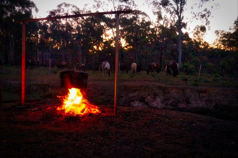 Night Horse Ride And Dinner - Accommodation NSW 2