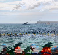 Nowra Toyota triHusky Huskisson Triathlon Festival Little Husky - Accommodation NSW