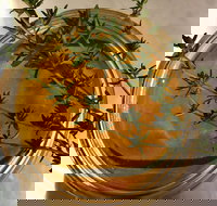 Online live streaming class DIY Skincare Products - Accommodation NSW