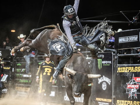 PBR Hawkesbury Stampede - Accommodation NSW 0