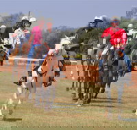 Pride of the West Races 2020 - Accommodation NSW